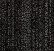 Грязезащитные покрытия Forbo Coral Brush 5741 cannon grey фото 1 | FLOORDEALER